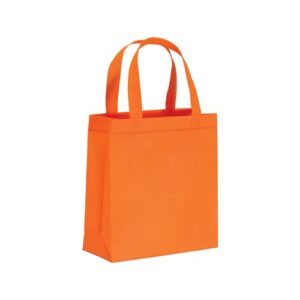 Shopping Bag SB20